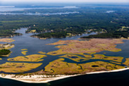 Middle Peninsula marsh aerial credit Will Parson