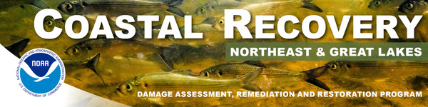 coastal recovery NE masthead