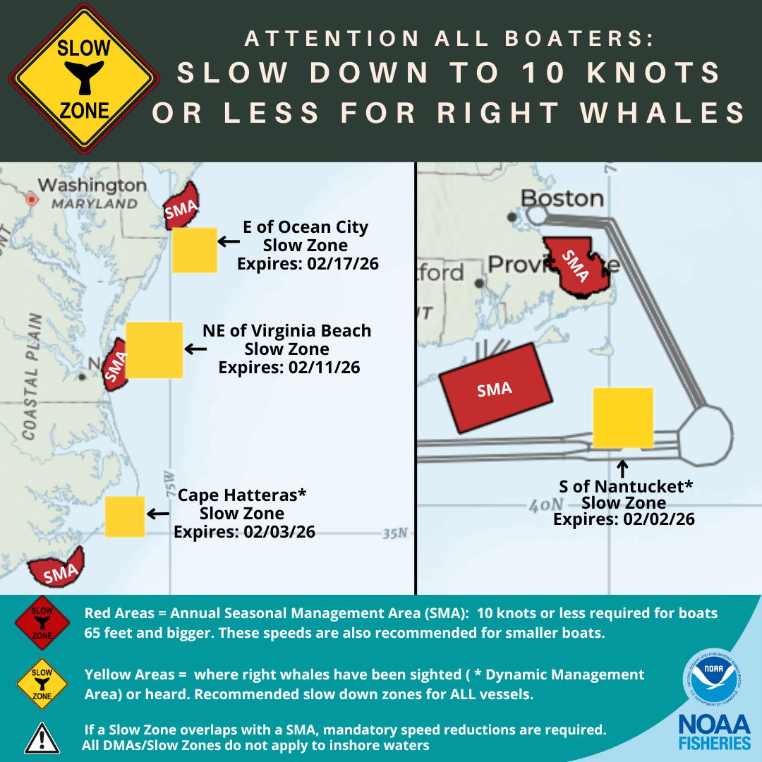 Right Whale Slow Zones 020226