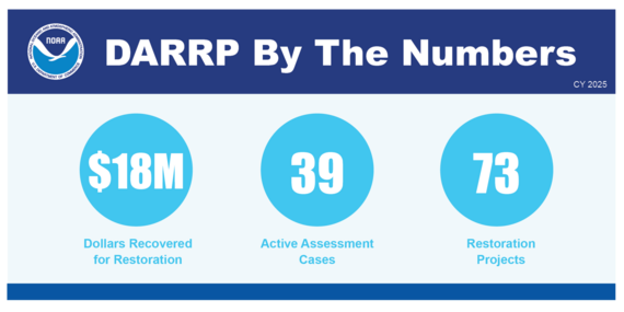 2025 by the numbers updated