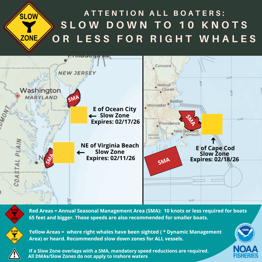 Active North Atlantic Right Whale Slow Zones in the US Mid Atlantic and New England