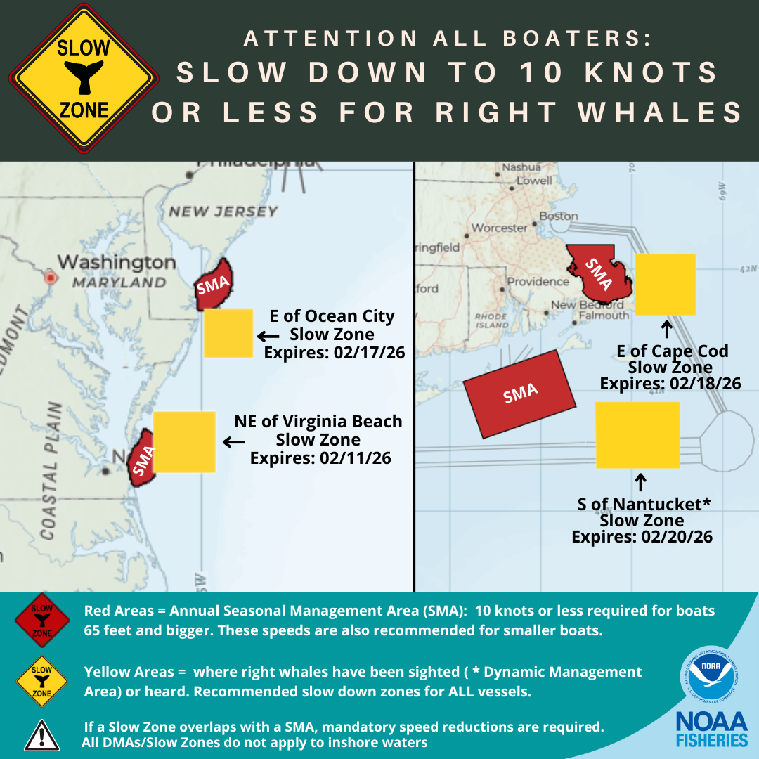 Current Active North Atlantic Right Whale Slow Zones in the Northeast Atlantic