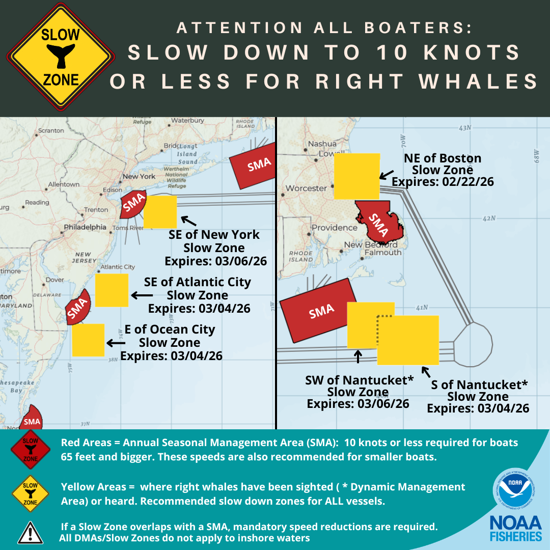 Active North Atlantic Right Whale Slow Zones in the US Northeast and Mid Atlantic