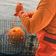 Close up of an on-demand fishing gear rig.