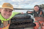 Maine scallop pot testing
