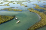 hank-carter-paddleboard-marsh