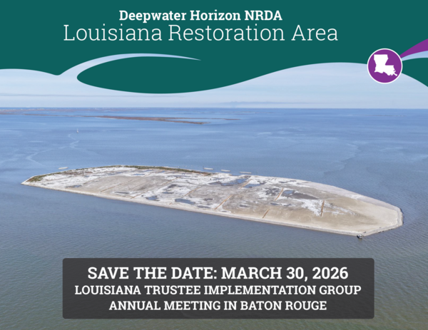 Ocean with the text Louisiana Restoration Area and Save the Date: March 30, 2026 overlaid