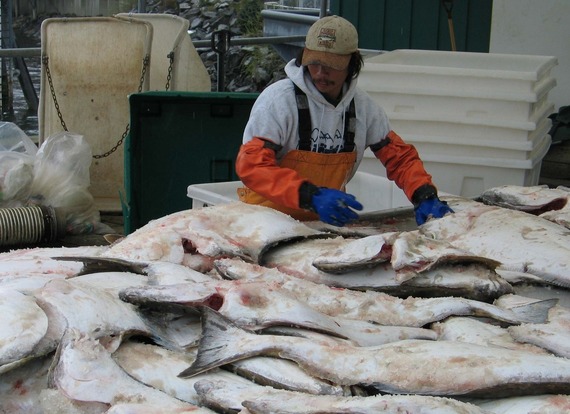 Photo courtesy of NOAA Fisheries