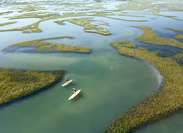 marsh around Wrightsville Beach, North Carolina. Credit: Hank Carter