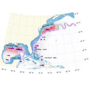 Map of the East and Gulf Coasts of America and Canada with dots and ships indicating level of sampling effort and months indicating when tuna spawn.