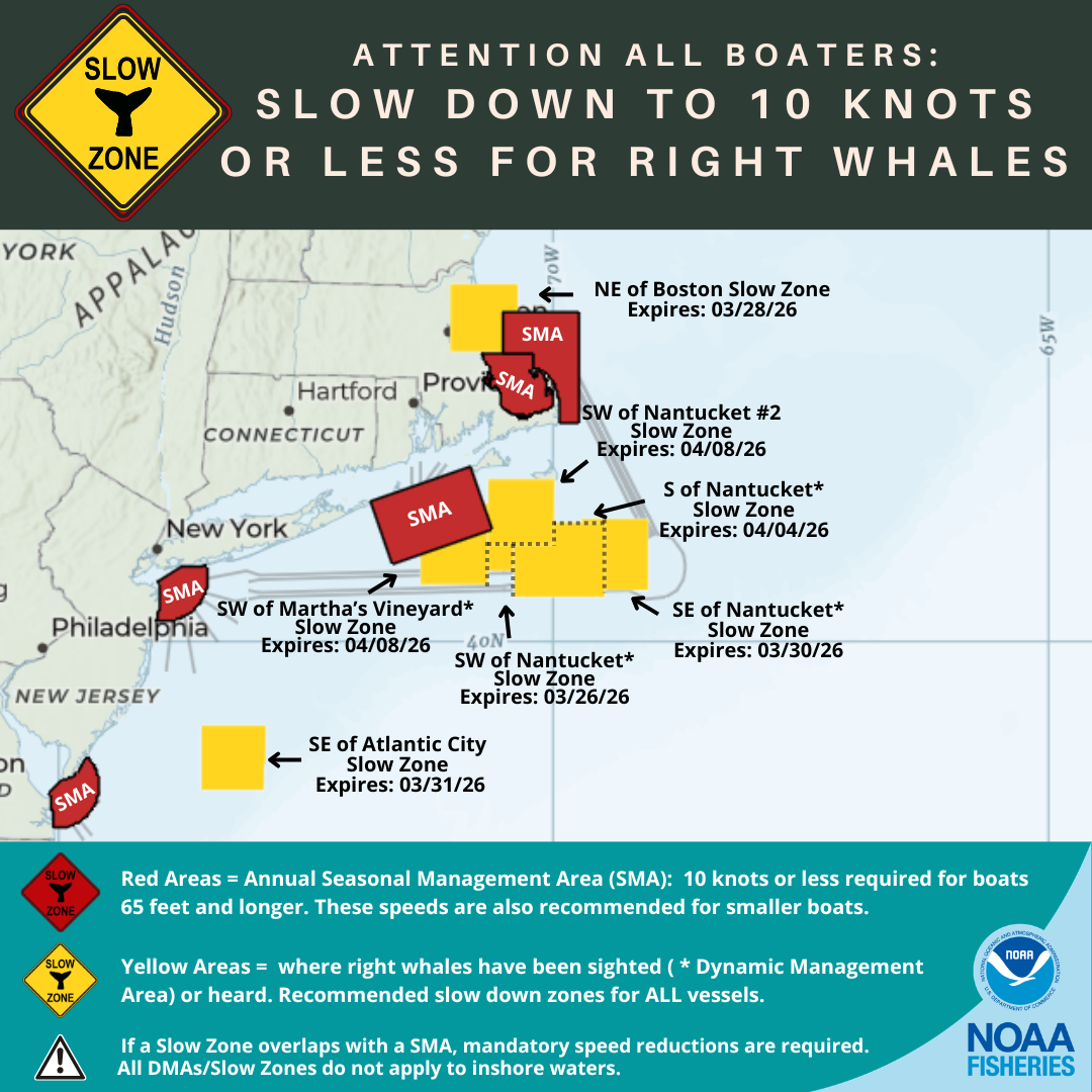 Active North Atlantic Right Whale Slow Zones in US Northeast