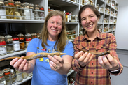 Diane Pitassy and Dr. Katherine Bemis holding two species of fish. Credit: Dr. Matthew Girard/Smithsonian Institution