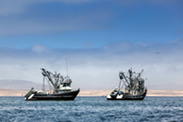 Two fishing vessels 