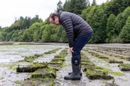Eugenio Piñeiro Soler at a Washington oyster farm