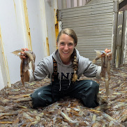 A scientist sits on a huge pile of squid while holding squid in each hand.