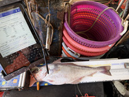 groundfish sampling station