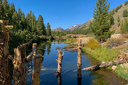 future steelhead habitat