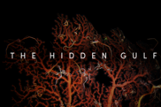 The Hidden Gulf.png