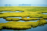 750x500-wetland-parker-river-NWR-credit-Kelly-Fike-USFWS.jpg