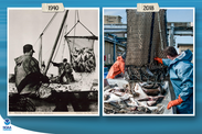 Fishing with dip nets in the 1940s and 2018. Credit: NOAA Fisheries Archives/G.T. Tooker (left); Shutterstock (right)