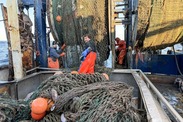 Crew of the F/V Miss Trish II at sea. Credit: NOAA Fisheries/Hannah Ciarametaro