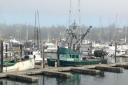 Vessels docked in Newport, Oregon. Credit: Erin Steiner, NOAA Fisheries