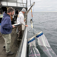 Two people stand by the side of a commercial fishing vessel with a bongo net over the side.