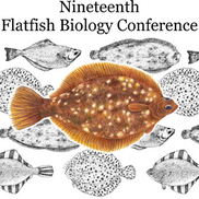 Graphic line drawings of various flatfish and one illustration overlaying.
