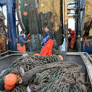Three fishermen stand on the back deck of a commercial fishing vessel at sea tending to a trawl net. 