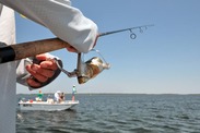 Recreational fishing from a private boat