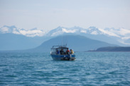 Halibut charter fishing credit Richard Yamada