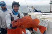 ccfrp vermilion rockfish