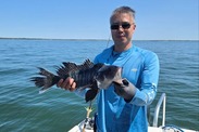 angler with black sea bass credit vessel-bay dream paula steinback