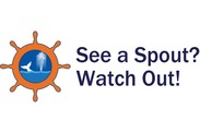 See a Spout logo