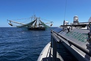 Gulf shrimp vessel with trawl gear