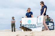 Gray seal release