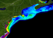 Forecast for June 2026 bottom temperature along the Northeast U.S. Continental Shelf