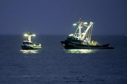 West Coast squid fleet