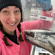 Scientist holding Atlantic mackerel