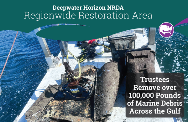 rw marinedebris header