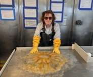 Teacher at Sea Jo Slavitz with jelly on table