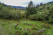 restoration partners at Prairie Creek site