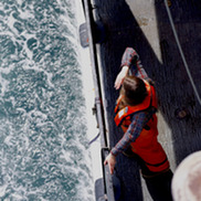 Watching for humpback whales during the spring 2026 EcoMon Survey