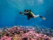 Scientist takes reef images at Swains Island