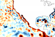 Coastally-trapped Kelvin waves, a signature of El Niño