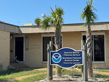 Brown pelican at door of NOAA facility.