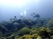 Scuba divers surveying Flower Garden Banks National Marine Sanctuary.