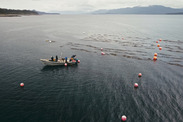 Sea Quester Farms Alaska