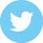 Twitter Logo - Circle