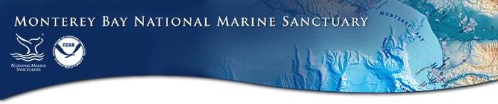 SAC Banner Version 2 SAC Banner Version 2